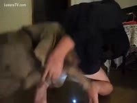 [ Bestiality Porn ] Perverted dude wishes a dog wang in his butt